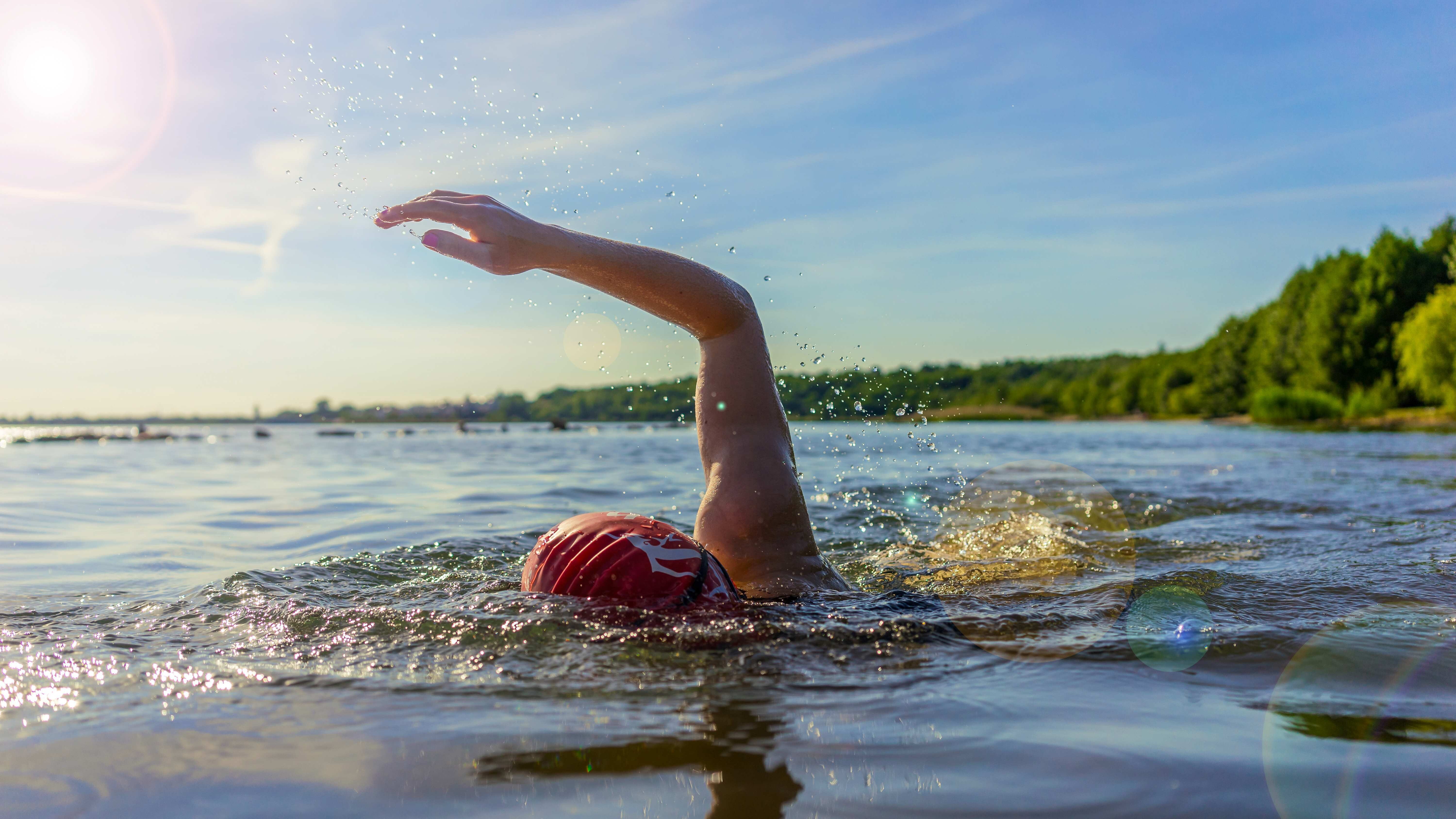 AdobeStock 159737773 klein